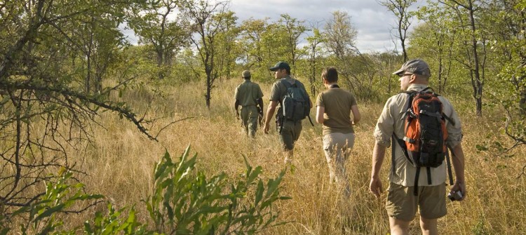 limpopo-walking-trails-21-750x335