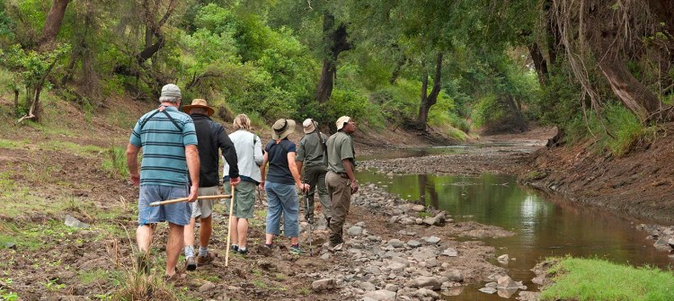 sanparks-kruger-national-park-activities-walking-trails1-750x335