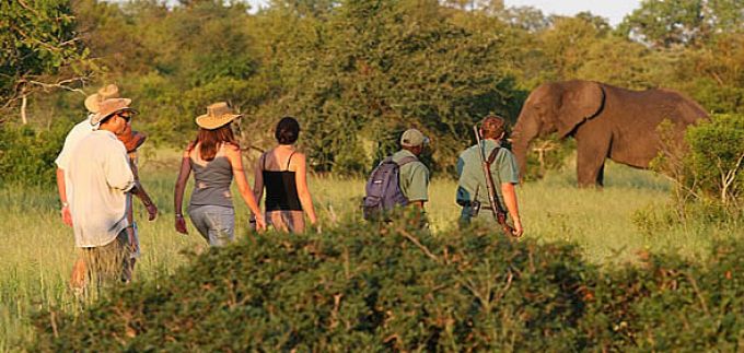 bushwalk_680_323_80_s_c1_center_top